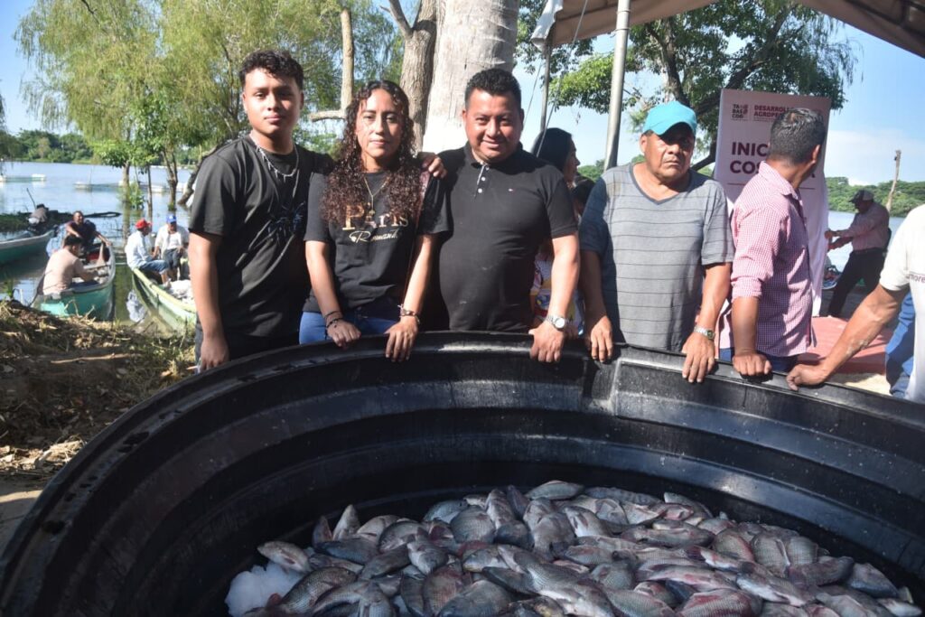 Pescadores tabasqueños muestran una tina llena de tilapias recién cosechadas durante la primera producción del programa Pescando Vida, en la ribera de Centla, con embarcaciones y vegetación al fondo.