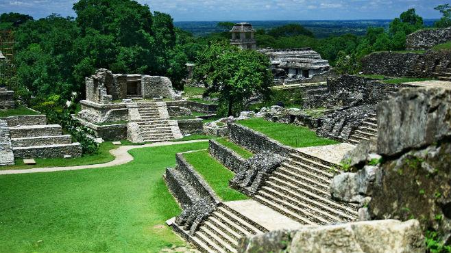 Zona arqueológica de Palenque con templos y escalinatas rodeadas de vegetación en un día despejado.