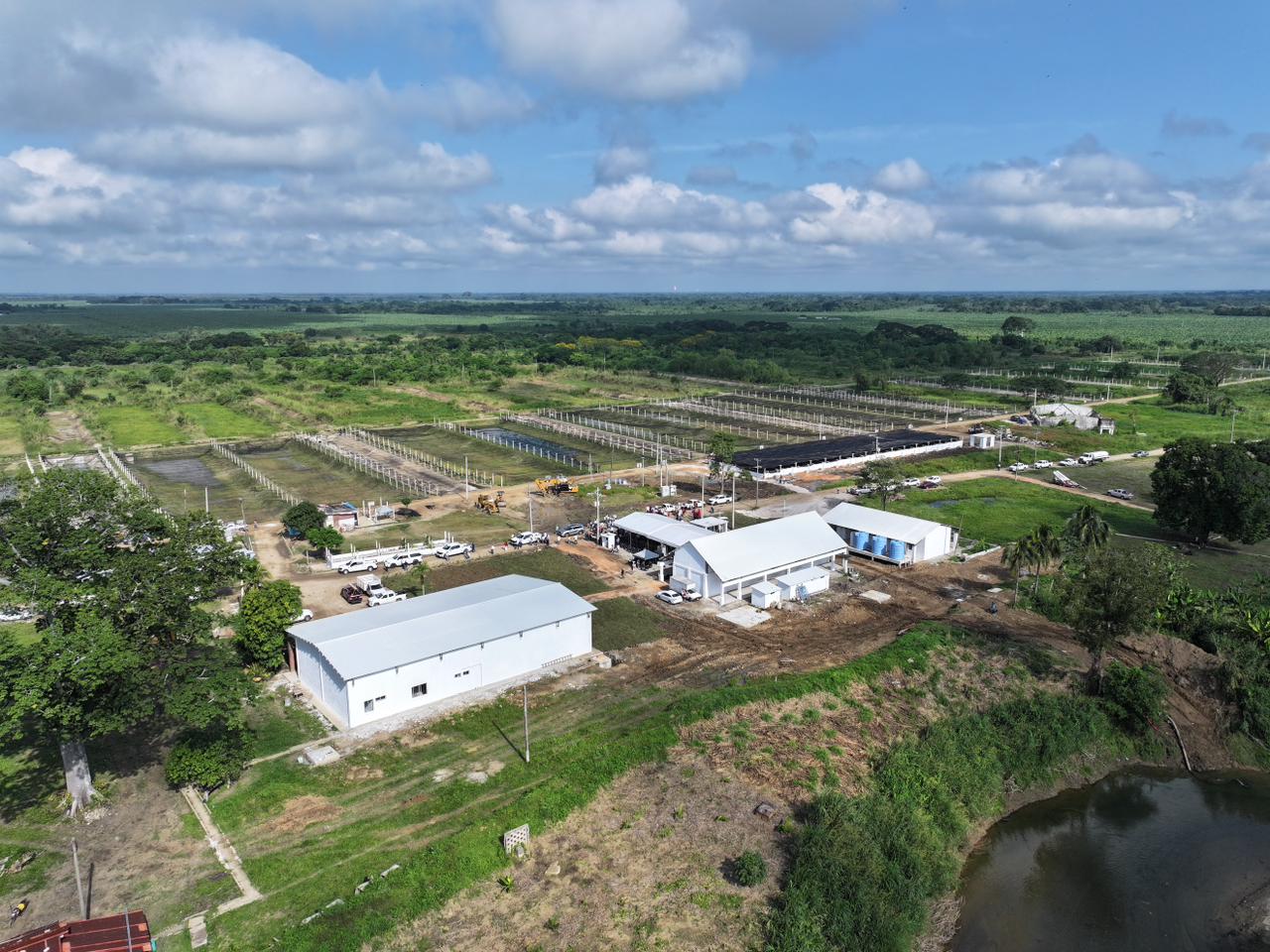 Vista aérea de la piscifactoría José Narciso Rovirosa en Teapa, con estanques, instalaciones rehabilitadas y áreas de producción.