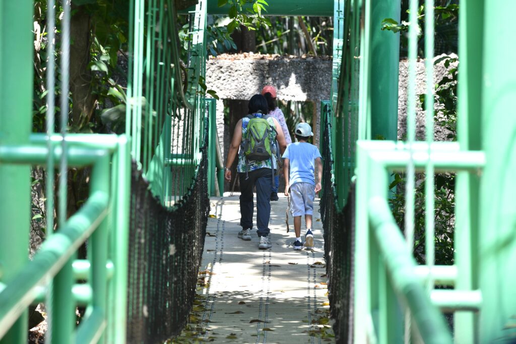 Familias recorren senderos del Parque Museo La Venta en Villahermosa.